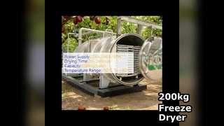 बिक्री के लिए 200 किलो औद्योगिक फ्रीज ड्रायर