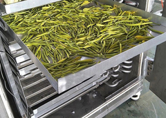 फ्रीज-ड्रायर फ्रीज-ड्राइंग मशीन डिहाइड्रेटेड फ्रीज-ड्राईड फूड डिहाइड्रेटर फ्रीज-ड्रायर