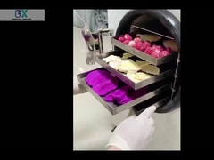 होम फ्रीज ड्रायर लैब फ्रीज ड्रायर वैक्यूम मशीन