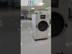 वाणिज्यिक फ्रीज ड्रायर