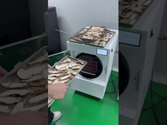 फ्रीज सूखे फल