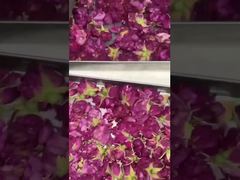 घर में फ्रीज सुखाना: उपयोग में आसान, ऊर्जा कुशल, और आपके रसोई घर में फिट बैठता है