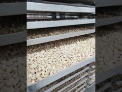 देखें: सहनशक्ति के लिए निर्मित: कम रखरखाव वाला औद्योगिक फ़्रीज़ ड्रायर प्रोसेसिंग शोकेस