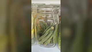 होम फ़्रीज़ ड्रायर 25 साल की ताज़गी