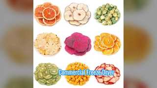 औद्योगिक फ़्रीज़ ड्रायर 100KG वाणिज्यिक स्केल