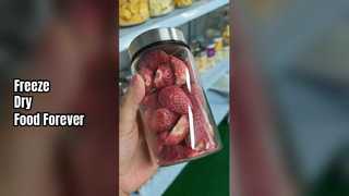 होम फ़्रीज़ ड्रायर भोजन को ताज़ा रखें