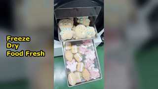 होम फ़्रीज़ ड्रायर प्रिजर्व फ़ू