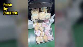 खाद्य संरक्षण के लिए घरेलू फ्रीज ड्रायर