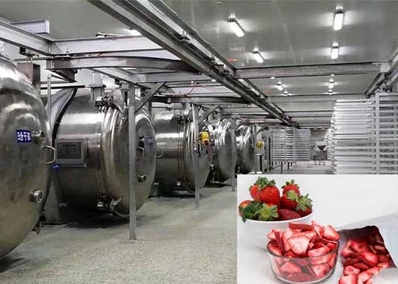 100 किलोग्राम खाद्य वैक्यूम फ्रीज ड्रायर औद्योगिक फ्रीज ड्रायर उपकरण