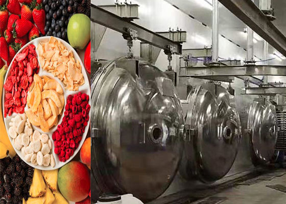 औद्योगिक खाद्य वैक्यूम फ्रीज सुखाने की मशीन 304 स्टेनलेस स्टील
