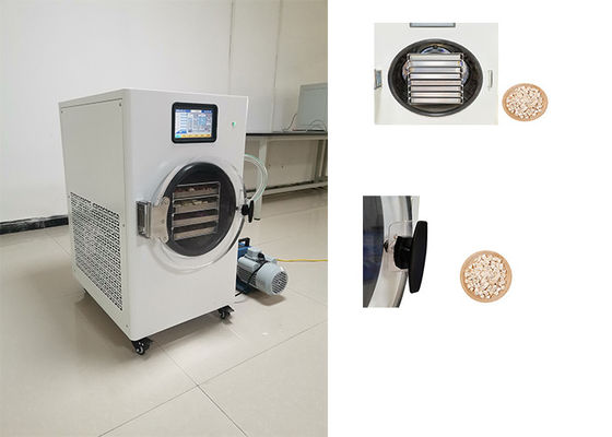 घर पर फ्रीज ड्रायर 220V 1PH के साथ फ्रीज ड्रायर प्रक्रिया में क्रांति लाएं