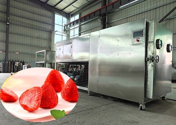 औद्योगिक पी.एल.सी. नियंत्रण दवा उद्योग के लिए लियोफिलिज़र ड्रायर