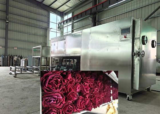 पेय और दवा के लिए बड़े औद्योगिक फ्रीज ड्रायर