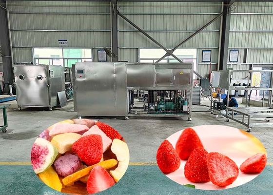 100 किलोग्राम प्रति बैच औद्योगिक फ्रीज-ड्राइंग मशीन 60dB के साथ