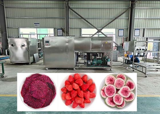 38KW इलेक्ट्रिक हीटिंग डीफ्रॉस्टिंग लाइओफिलिज़र फ्रीज ड्रायर मशीन