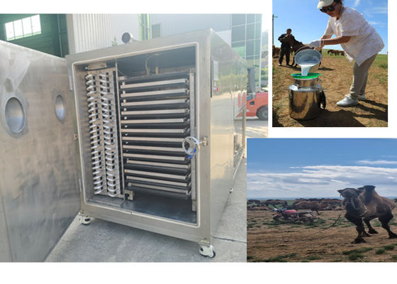 कॉम्पैक्ट डिज़ाइन फ्रीज सूखी फलों की मशीन  रेफ्रिजरेशन सिस्टम के साथ