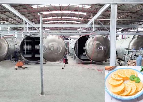 1000 किलोग्राम क्षमता खाद्य अनुप्रयोग के लिए औद्योगिक स्वचालित फ्रीज ड्रायर