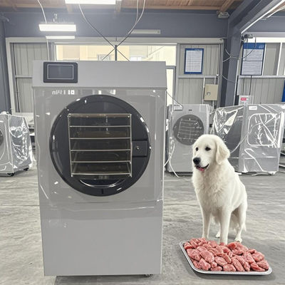 खाद्य ग्रेड 6 किलोग्राम फ्रीज ड्रायर वाणिज्यिक निर्जलीकरण उपकरण फल सब्जियों के लिए