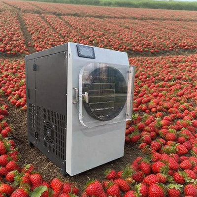 304 स्टेनलेस स्टील और बॉश पंप के साथ वाणिज्यिक लाइयोफिलाइज़र - उच्च-दक्षता फ्रीज ड्रायर