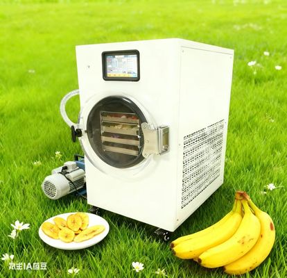 आसान होम फ्रीज ड्रायर अपने बगीचे की फसल बचाओ उपयोग में आसानी, बागवानों के लिए एकदम सही