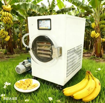 स्वस्थ स्नैक्स आसानी से बनाए जाते हैं. फ्रीज-ड्राई फलों, दही और अधिक फसल के अधिकार के साथ. कोई additives, सभी नियंत्रण