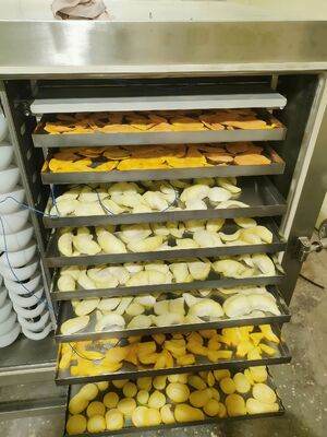 रेफ्रिजरेशन यूनिट फ्रीज ड्रायर रेटेड पावर 200KW फार्मास्युटिकल खाद्य और रासायनिक उद्योग के लिए फ्रीज ड्रायर उपकरण