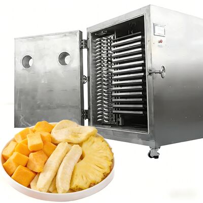 100Kg 200Kg बड़ी क्षमता वाला लियोफिलाइज़र कमर्शियल फ्रीज ड्रायर मशीन