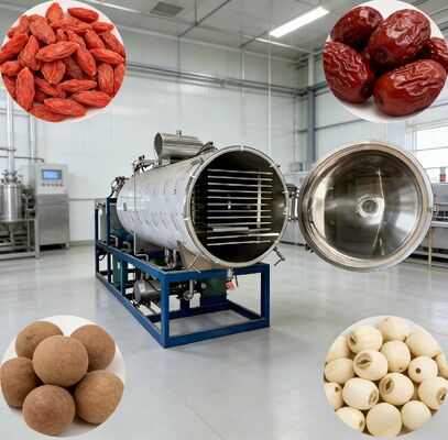 पीएलसी नियंत्रण प्रणाली वैक्यूम फ्रीज-ड्रायिंग मशीन चैंबर आकार 12700 2600 3300 मिमी फार्मास्युटिकल, खाद्य और रासायनिक उद्योगों के लिए एकदम सही