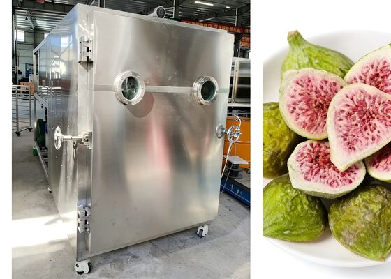 Voltage 380V 50HZ 3PH Food vacuum freeze dryer with food grade 304 stainless steel designed to maintain food freshness